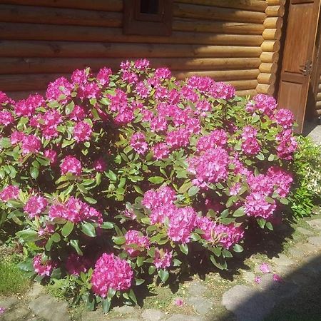 Sveciu Namelis Hotel Siauliai  Bagian luar foto